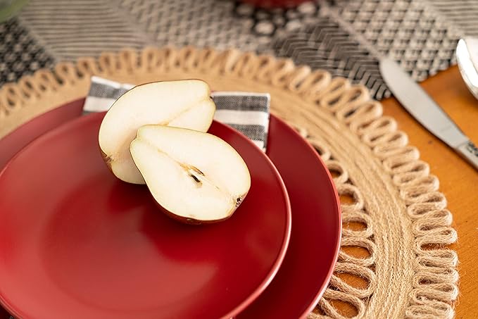 10 Strawberry Street  Matte 10.5" Coupe Dinner Plate  Set of 6  Red